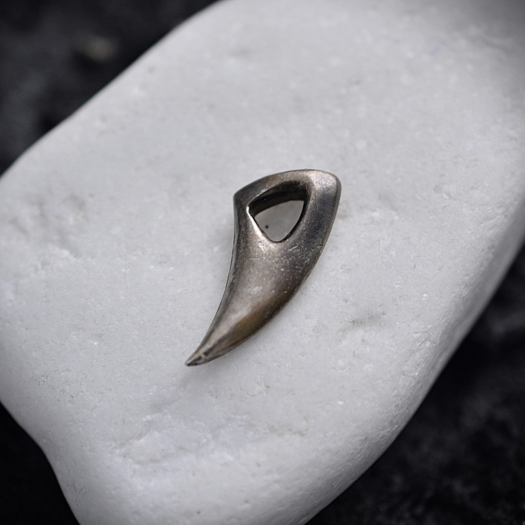 Сребърен медальон 925 „Нокът на Гризли“ | Мъжки талисман за сила и защита | Частично оксидирана висулка | ArtDiva